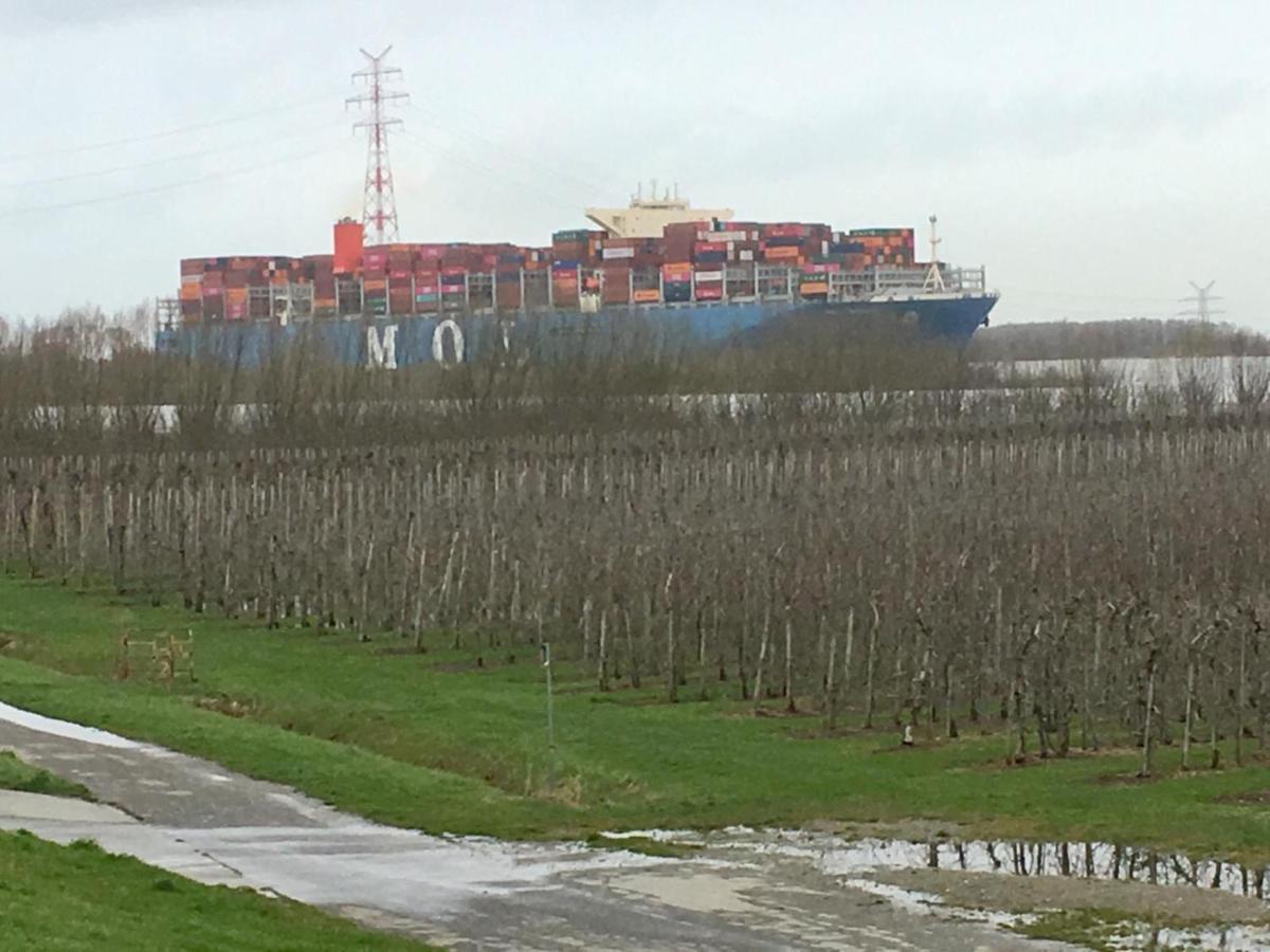 Wohnen Im Alten Land Grünendeich Exterior foto
