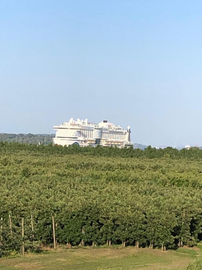 Wohnen Im Alten Land Grünendeich Exterior foto