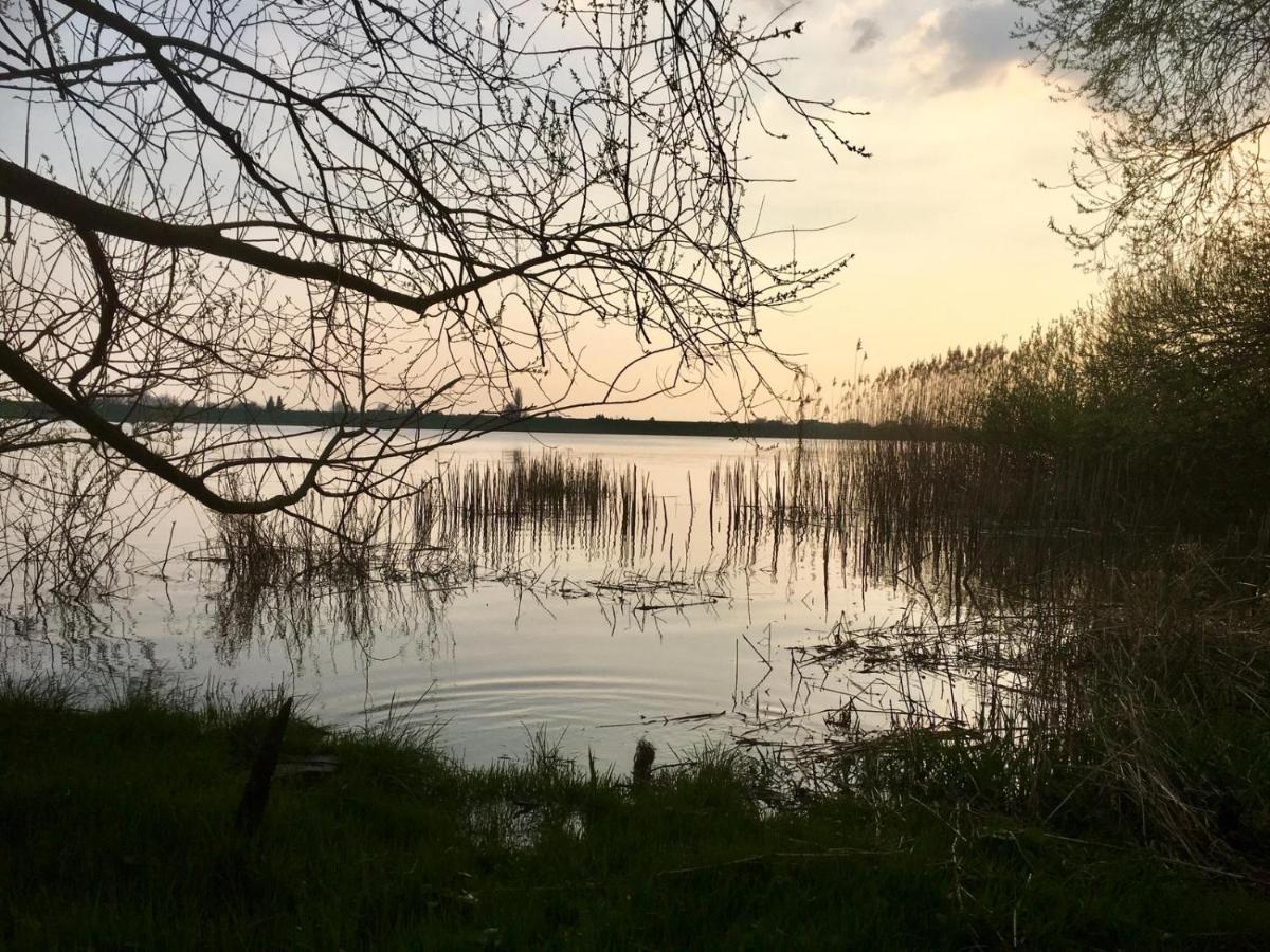 Wohnen Im Alten Land Grünendeich Exterior foto