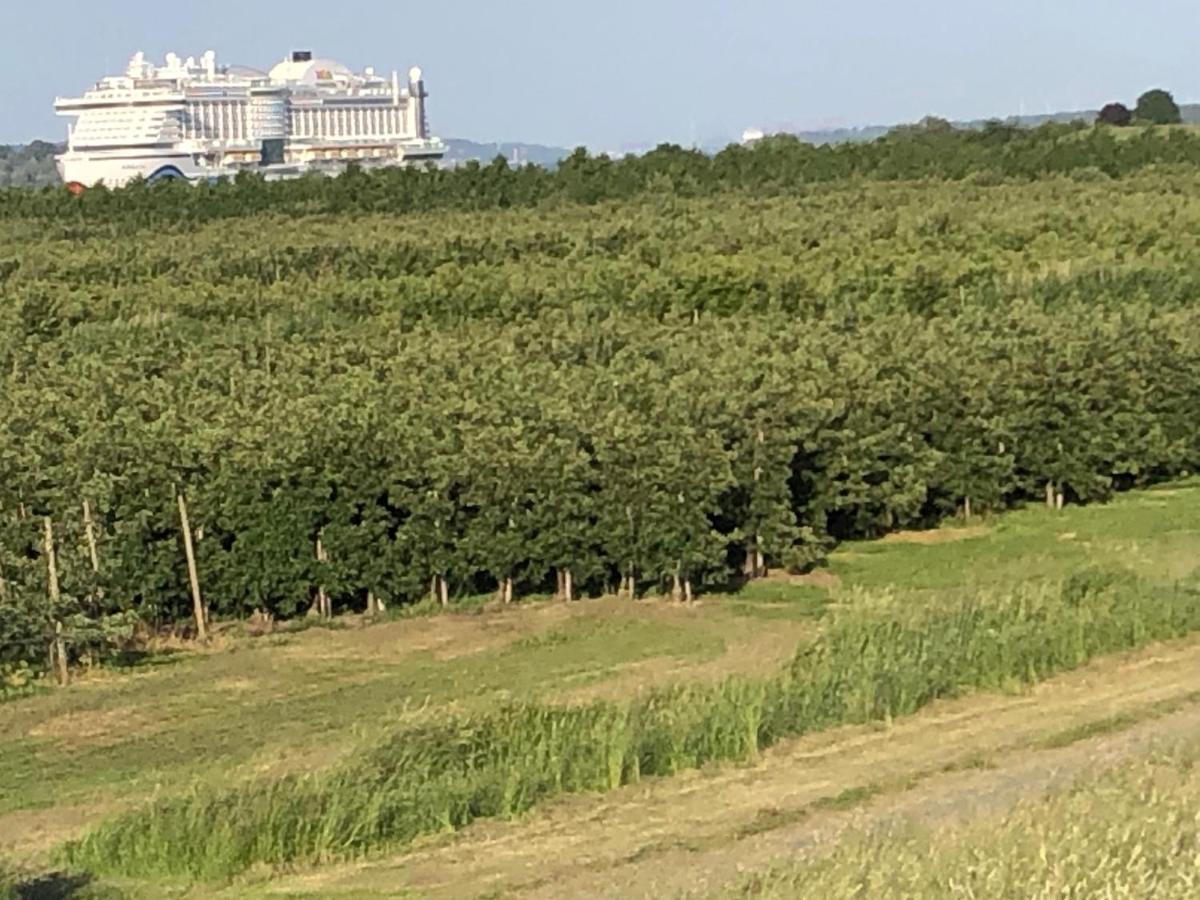 Wohnen Im Alten Land Grünendeich Exterior foto